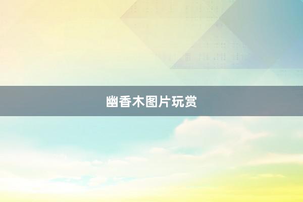 幽香木图片玩赏