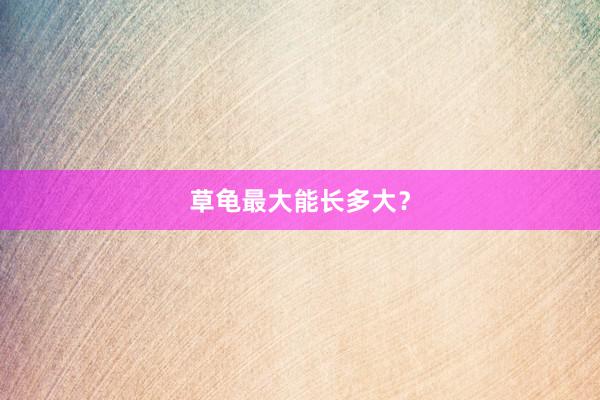 草龟最大能长多大？