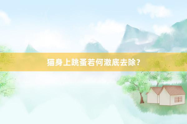 猫身上跳蚤若何澈底去除?